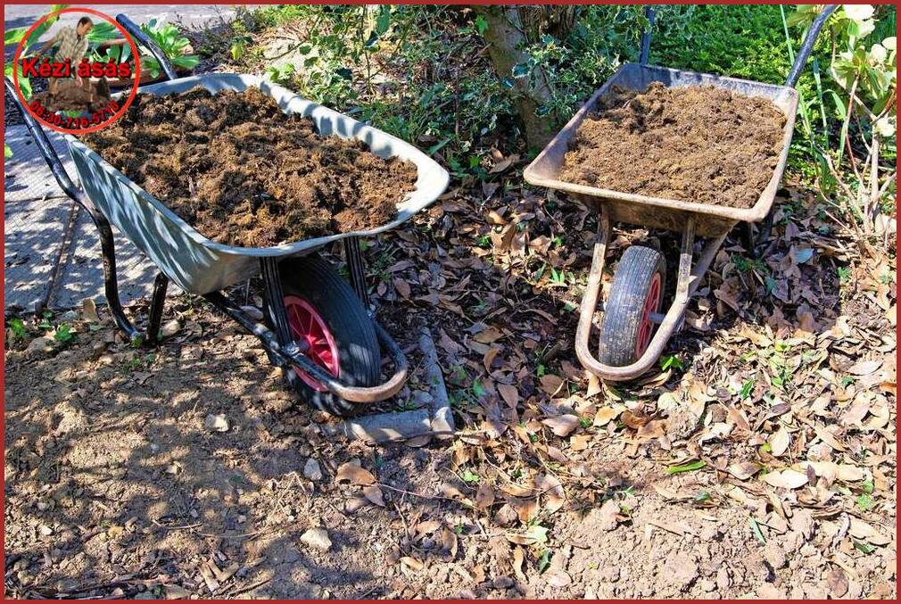 Kézi ásás: A legjobb módja a kert hosszú távú ápolásának biztosításának.