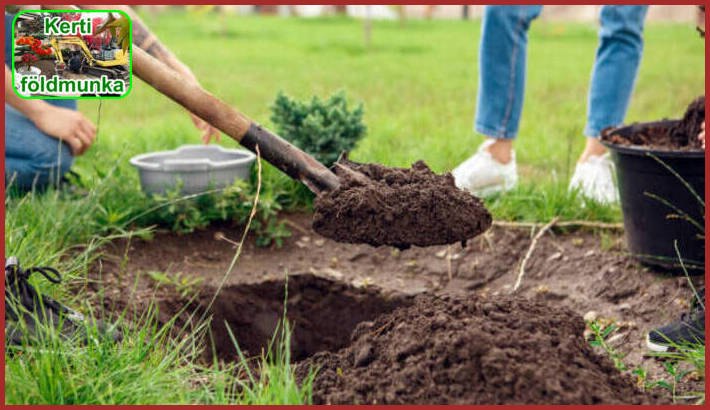 1.	A kerti földmunka és az ásás lehetővé teszi a kert átalakítását és a tervezett kertépítési projektek megvalósítását. Hagyja, hogy profi kertészünk elvégezze ezt a munkát helyette, és élvezze a gyönyörű és funkcionális kertet!