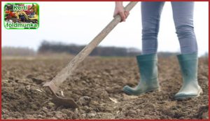 1.	A megfelelő kerti földmunka garantálja a növények sikeres termesztését. Engedje, hogy mi segítsünk az ásásban és a talaj előkészítésében!