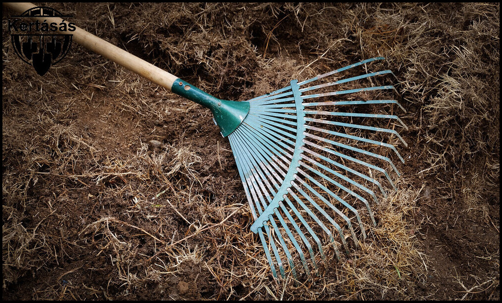 Kertásás árak, amelyekkel a kerted ápolt és virágzó lesz.